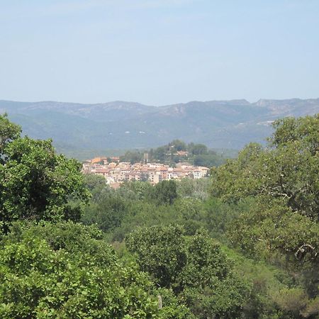 Apartment Les Cascadelles-13 By Interhome Коголин Экстерьер фото